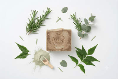 Purify Cold Processed Soap - French Green Clay, Neem & Tea Tree – Body Soap on Brown Living™. SKU: BGCPS000001. Img 2.