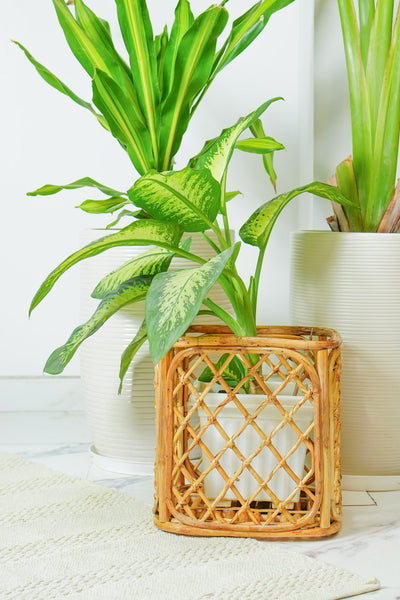 Rattan Woven Planter | Handmade Natural Indoor & Outdoor Pot – Home & Garden on Brown Living™. SKU: SYMPS009. Img 1.