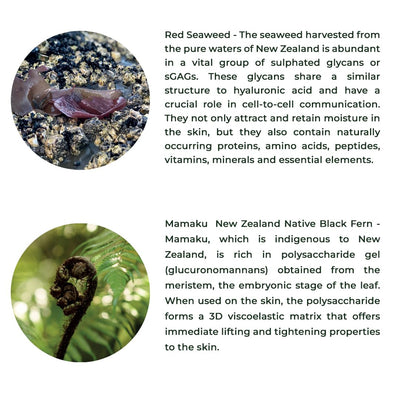 Red Seaweed + Mamaku Hydration Cream | Natural Face Cream for Glowing – Face Cream on Brown Living™. SKU: FMCMA040. Img 8.