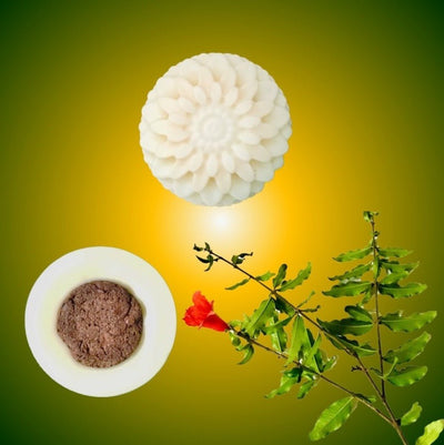 Refreshing Peppermint Scent Wax Block Freshener – Candles & Fragrances on Brown Living™. SKU: BLSPGFBADPP1. Img 3.