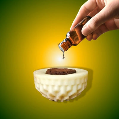 Refreshing Peppermint Scent Wax Block Freshener – Candles & Fragrances on Brown Living™. SKU: BLSPGFBADPP1. Img 2.