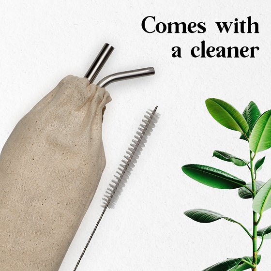 Reusable & Eco - friendly Stainless Steel Straws - Pack of 2 | Verified Sustainable by Brown Living™