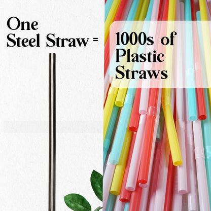 Reusable & Eco - friendly Stainless Steel Straws - Pack of 2 | Verified Sustainable by Brown Living™