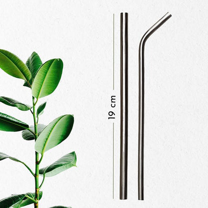 Reusable & Eco - friendly Stainless Steel Straws - Pack of 2 | Verified Sustainable by Brown Living™