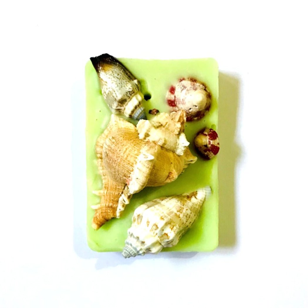 Reusable Seashell Wax Tablet with Refill Fragrance |Large Aroma Tablet – Candles & Fragrances on Brown Living™. SKU: LGGNMNTF1. Img 7.