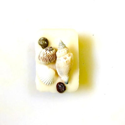 Reusable Seashell Wax Tablet with Refill Fragrance |Large Aroma Tablet – Candles & Fragrances on Brown Living™. SKU: MBWHTJM1. Img 13.