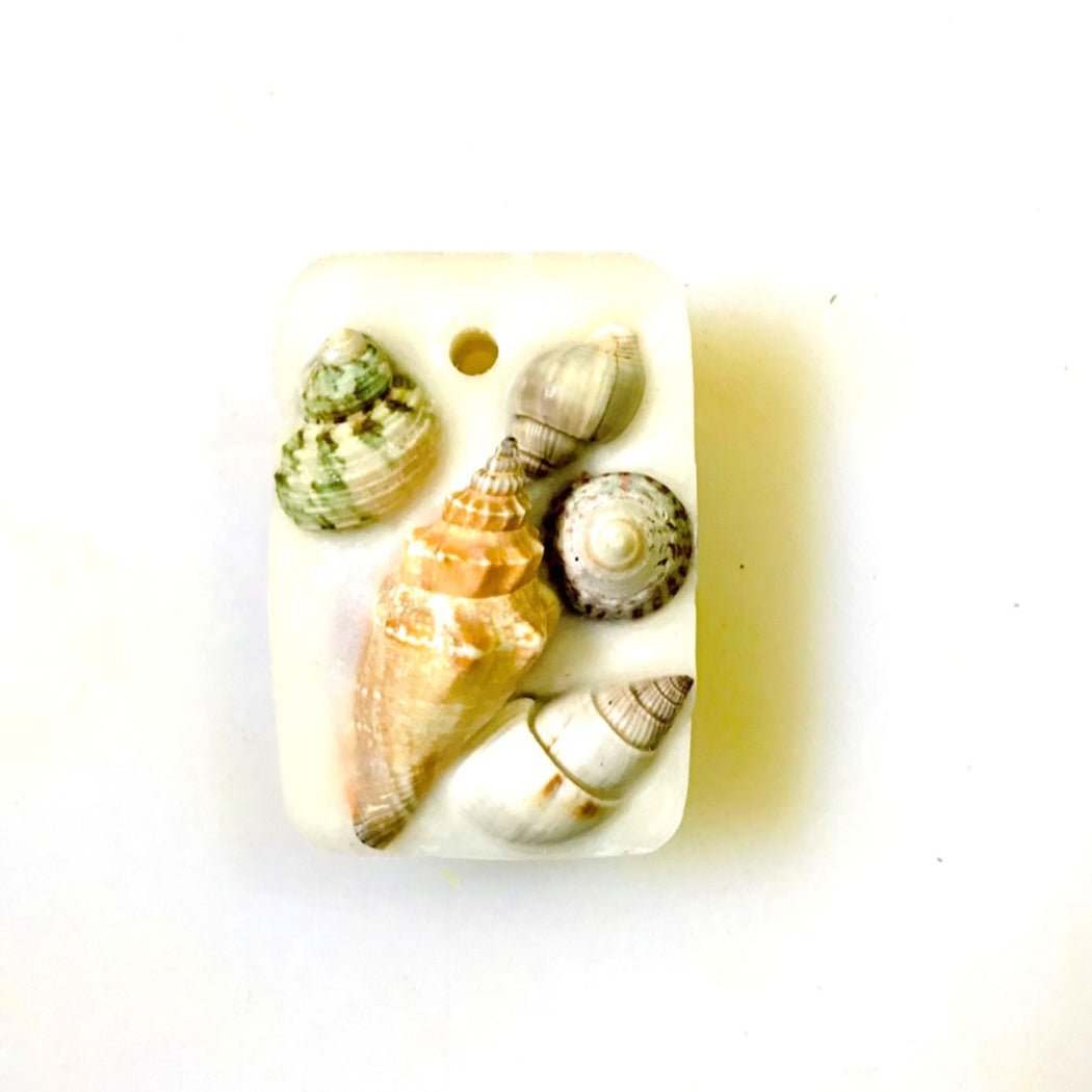 Reusable Seashell Wax Tablet with Refill Fragrance |Large Aroma Tablet – Candles & Fragrances on Brown Living™. SKU: MBWHTPP1. Img 14.