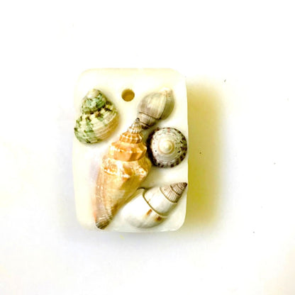 Reusable Seashell Wax Tablet with Refill Fragrance |Large Aroma Tablet – Candles & Fragrances on Brown Living™. SKU: MBWHTPP1. Img 14.