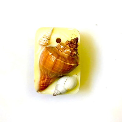 Reusable Seashell Wax Tablet with Refill Fragrance |Large Aroma Tablet – Candles & Fragrances on Brown Living™. SKU: MBYLCTF1. Img 8.