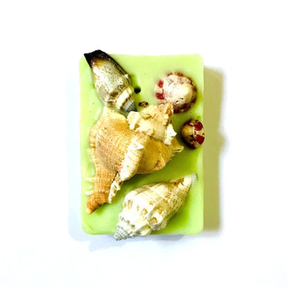 Reusable Seashell Wax Tablet with Refill Fragrance |Large Aroma Tablet – Candles & Fragrances on Brown Living™. SKU: OVLSLVCN1. Img 21.