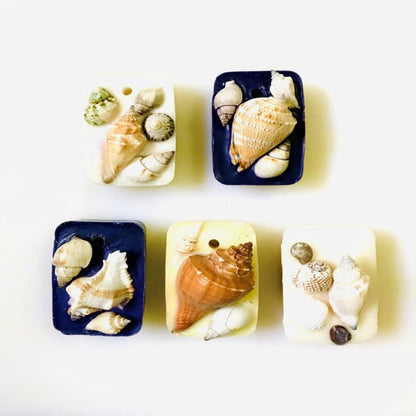 Reusable Seashell Wax Tablet with Refill Fragrance |Large Aroma Tablet – Candles & Fragrances on Brown Living™. SKU: OVLSLVCN1. Img 25.