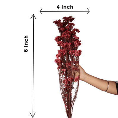 Rice Flower – Red (Dried) | Decorative Flowers | Home & Festive Decor – Home Decor on Brown Living™. SKU: CC23. Img 4.