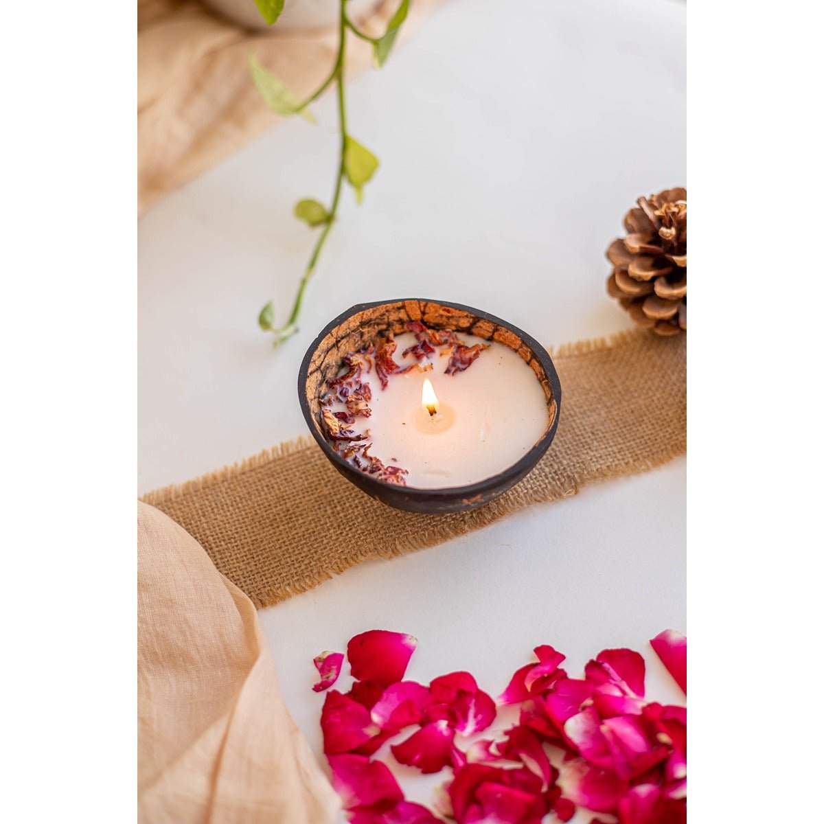 Rosewood Coconut Glow Aroma Candle | Scented Home Fragrance – Candles & Fragrances on Brown Living™. SKU: SSAS-361LAVR. Img 2.