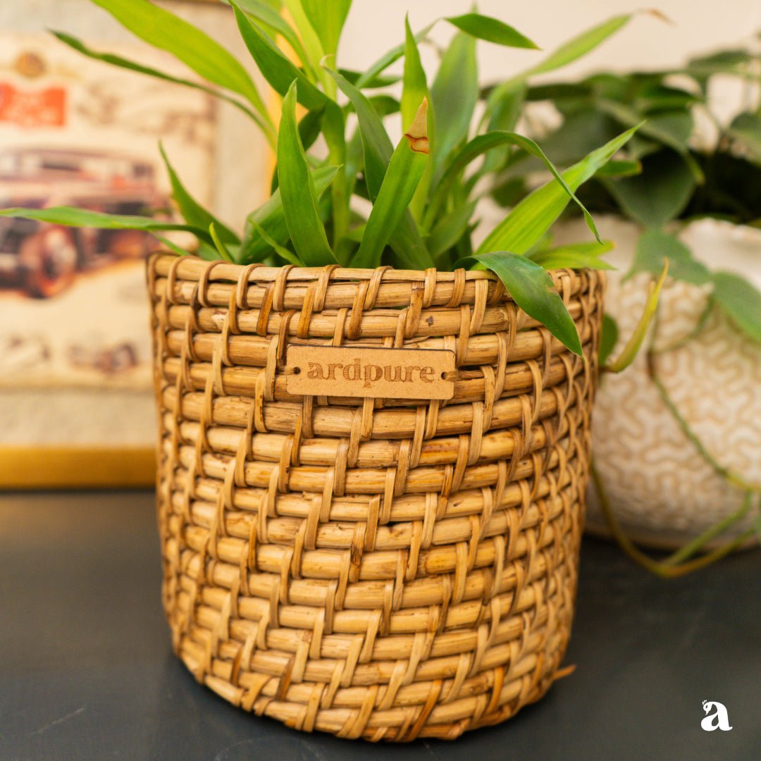 Round Cane Planter | Handcrafted Natural Cane Pot for Home Décor – Baskets & Boxes on Brown Living™. SKU: 902RP6. Img 1.
