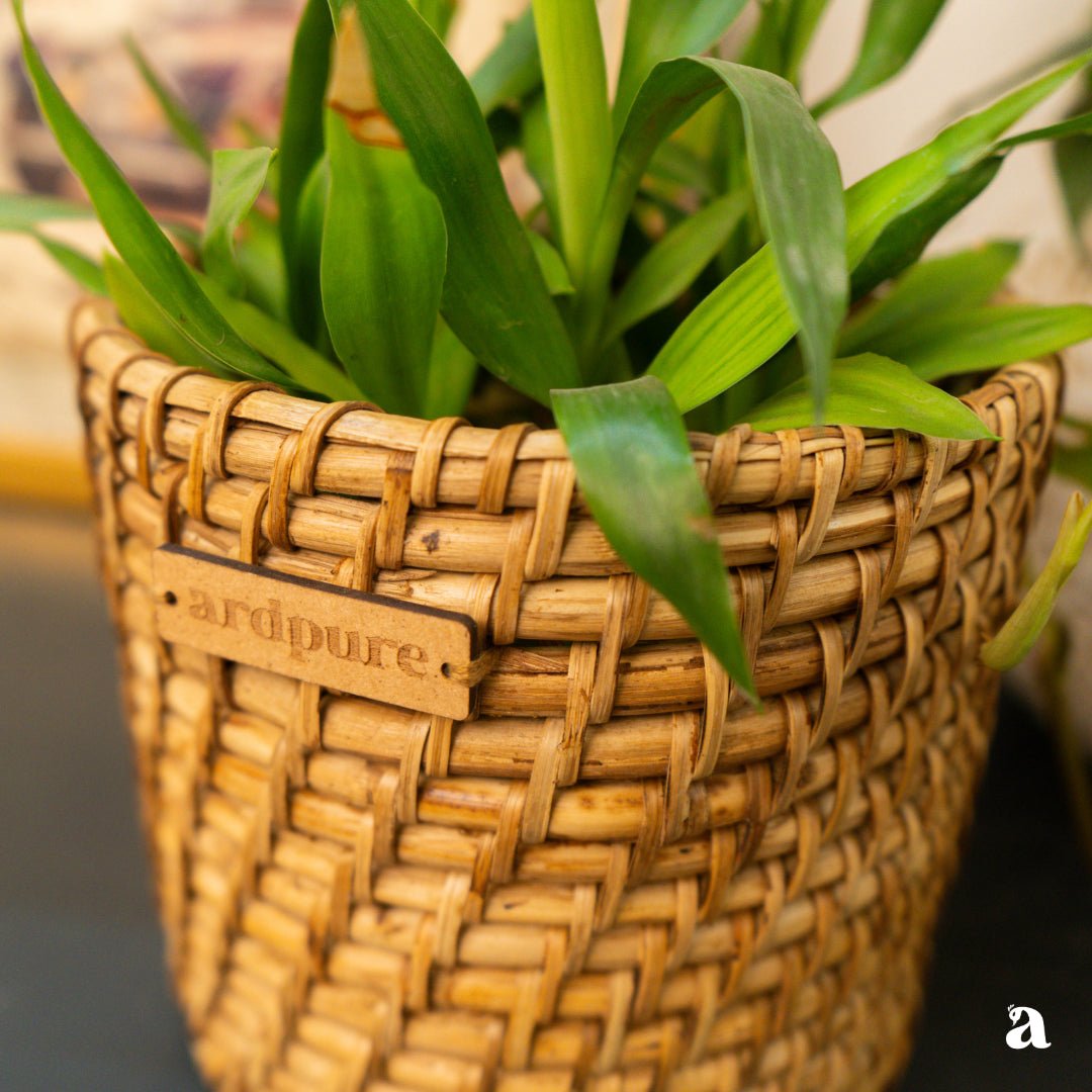 Round Cane Planter | Handcrafted Natural Cane Pot for Home Décor – Baskets & Boxes on Brown Living™. SKU: 902RP6. Img 2.