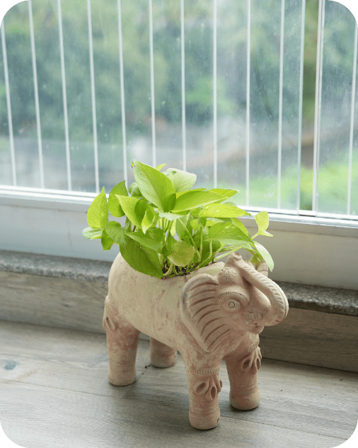 Royal Elephant Earthen Planter – Pots & Planters by Swadeh available on Brown Living™. . SKU: A0_plt_0070. Img 1.