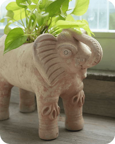 Royal Elephant Earthen Planter – Pots & Planters on Brown Living™. SKU: A0_plt_0070. Img 2.