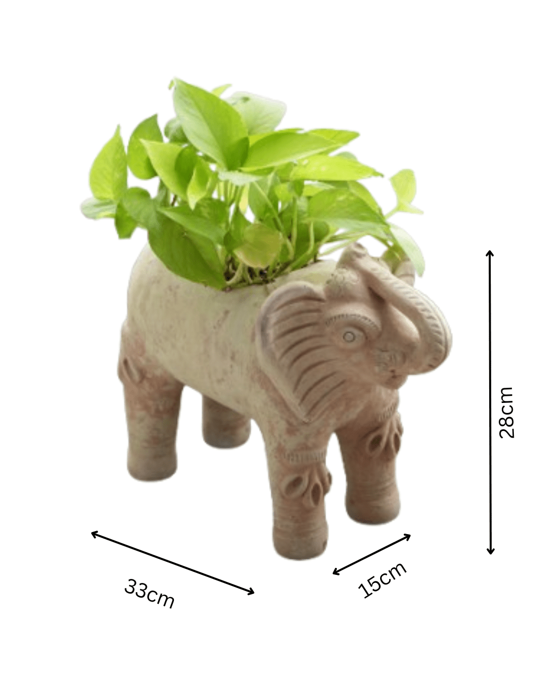Royal Elephant Earthen Planter – Pots & Planters by Swadeh available on Brown Living™. . SKU: A0_plt_0070. Img 5.