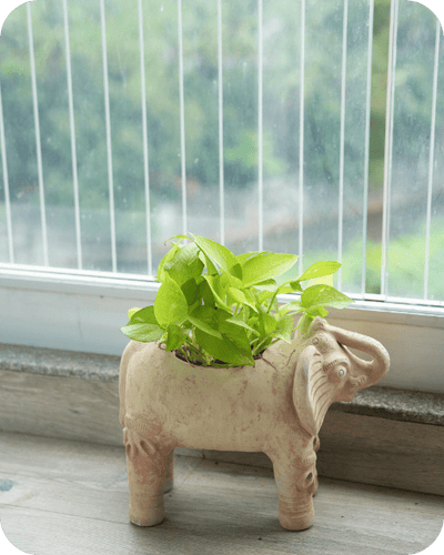 Royal Elephant Earthen Planter – Pots & Planters on Brown Living™. SKU: A0_plt_0070. Img 3.