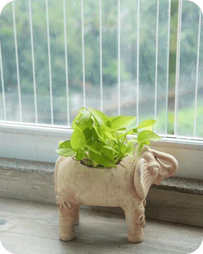 Royal Elephant Earthen Planter – Pots & Planters by Swadeh available on Brown Living™. . SKU: A0_plt_0070. Img 3.