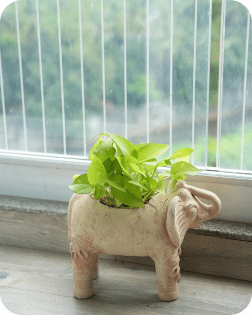 Royal Elephant Earthen Planter – Pots & Planters by Swadeh available on Brown Living™. . SKU: A0_plt_0070. Img 3.