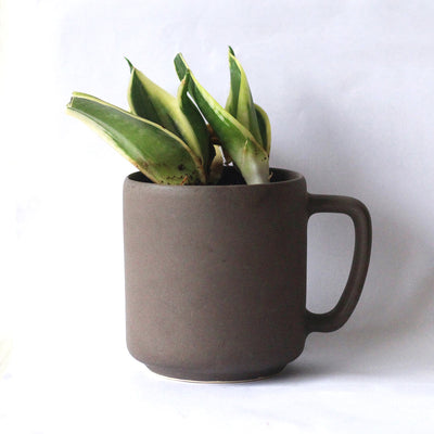 Rustic Brown Limited Edition Recycled Ceramic Desk Planter with holder – Pots & Planters on Brown Living™. SKU: ET - CT - DP - CB. Img 2.