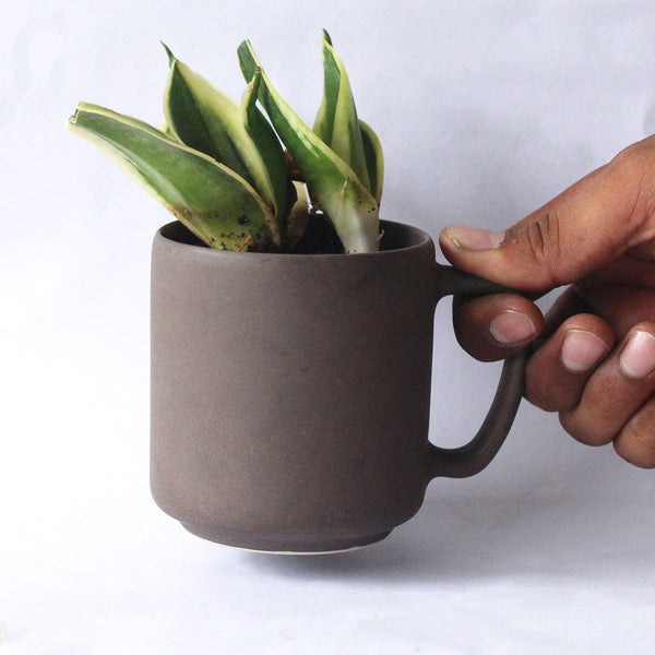 Rustic Brown - Limited Edition Recycled Ceramic Desk Planter with holder | Verified Sustainable Pots & Planters on Brown Living™