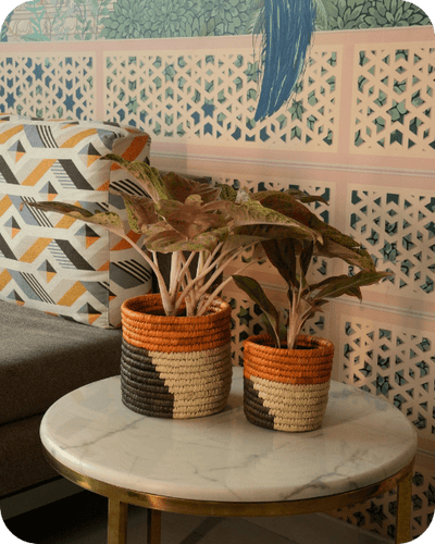 Sabai Grass Planters | Set of 2 – Baskets & Boxes on Brown Living™. SKU: C0_sab_00011. Img 4.