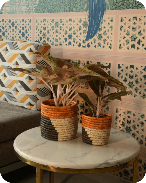 Sabai Grass Planters | Set of 2 – Baskets & Boxes on Brown Living™. SKU: C0_sab_00011. Img 4.