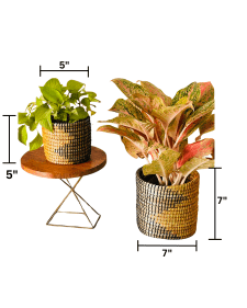 Sabai Grass Planters | Set of 2 – Baskets & Boxes on Brown Living™. SKU: C0_sab_00011. Img 5.