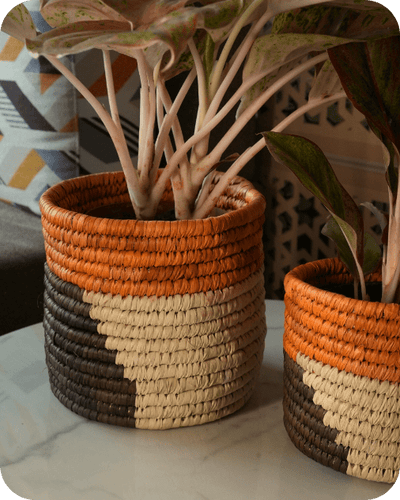 Sabai Grass Planters | Set of 2 – Baskets & Boxes on Brown Living™. SKU: C0_sab_00011. Img 3.