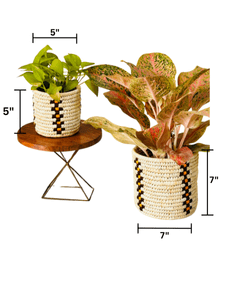 Sabai Grass Planters | Set of 2 – Baskets & Boxes on Brown Living™. SKU: C0_sab_00012. Img 9.