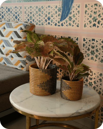 Sabai Grass Planters | Set of 2 – Baskets & Boxes on Brown Living™. SKU: C0_sab_00012. Img 7.