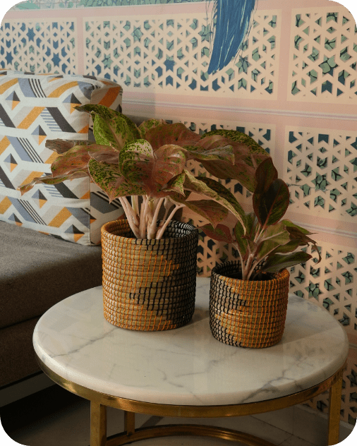 Sabai Grass Planters | Set of 2 – Baskets & Boxes on Brown Living™. SKU: C0_sab_00012. Img 7.