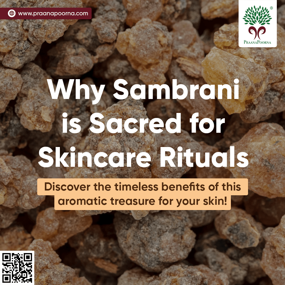 Sambrani resin infused Aroma Oil 100ml – Body Oil on Brown Living™. SKU: 133-08242-praanapoorna-SKUB8. Img 7.