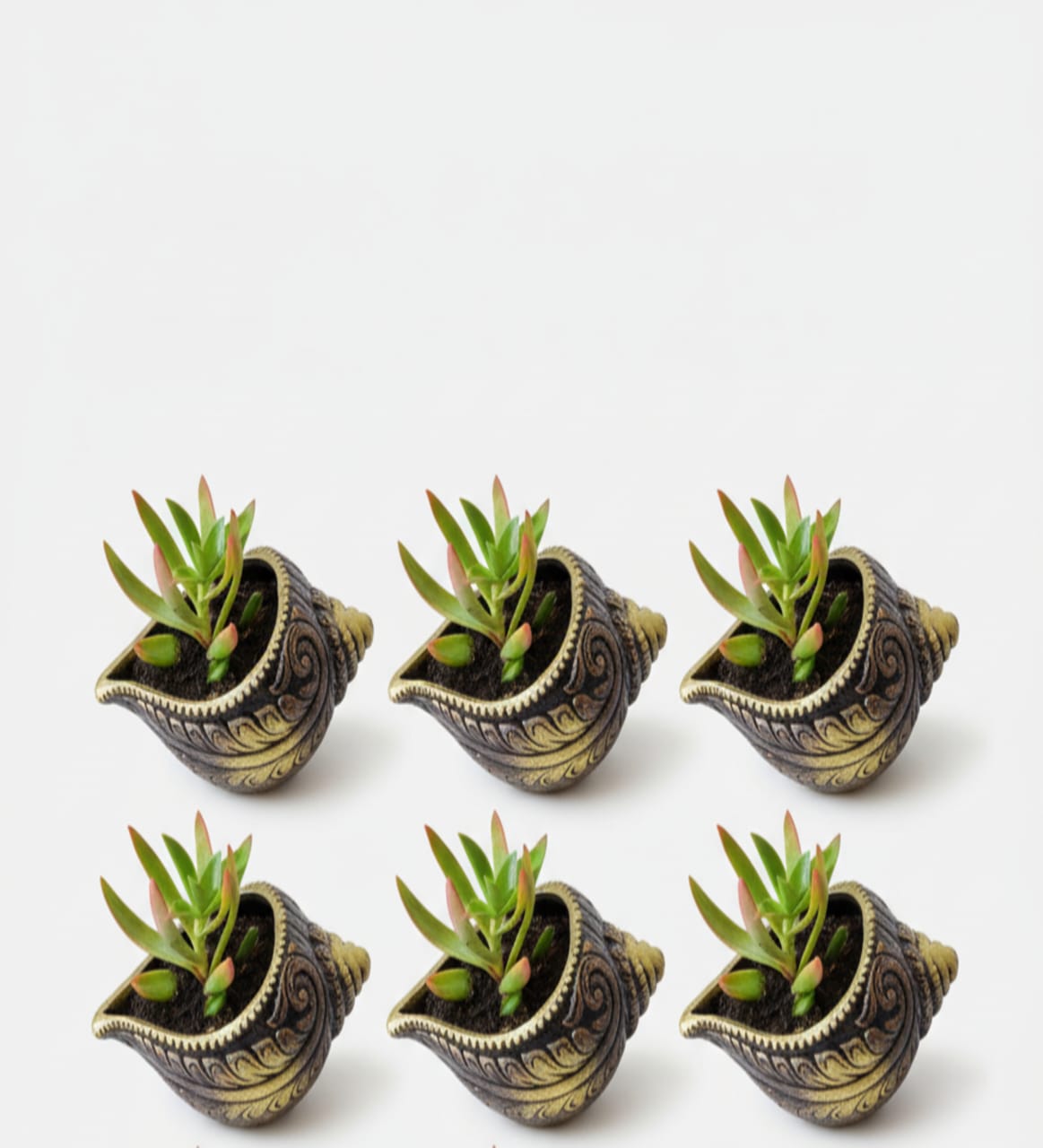 Sankh Planter 5 Inch | Decorative Terracotta Indoor & Outdoor Pot – Home & Garden on Brown Living™. SKU: PL15-6. Img 12.