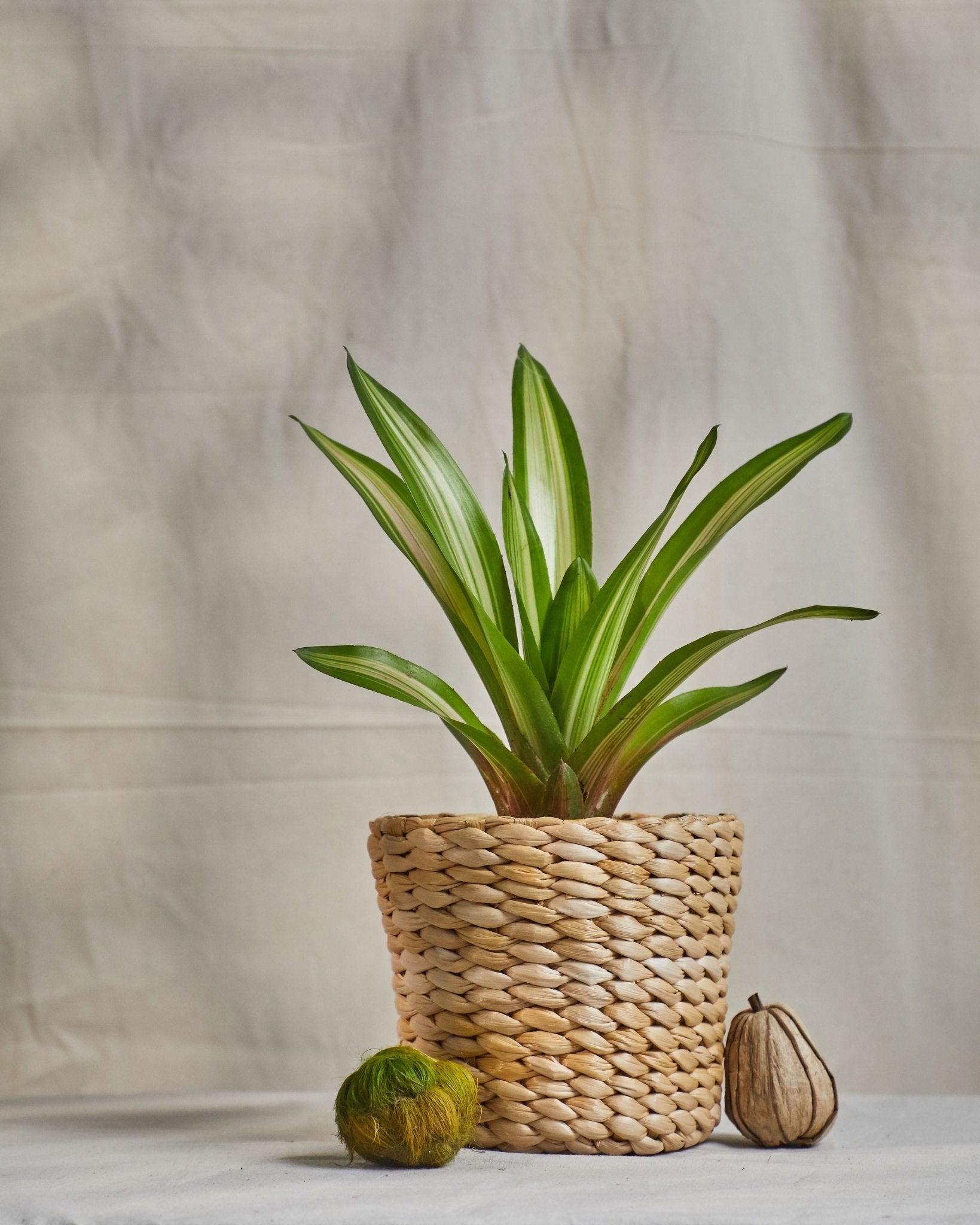 Savi - Multi-Utility Banana Fiber Basket – Baskets & Boxes on Brown Living™. SKU: S-011. Img 1.