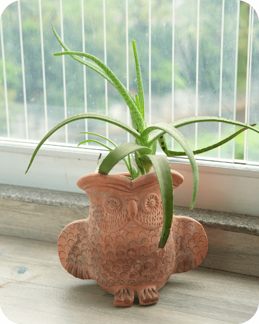 Seacrest Owl Earthen Planter – Pots & Planters by Swadeh available on Brown Living™. . SKU: A0_plt_0041. Img 1.