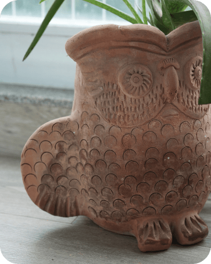 Seacrest Owl Earthen Planter – Pots & Planters by Swadeh available on Brown Living™. . SKU: A0_plt_0041. Img 2.