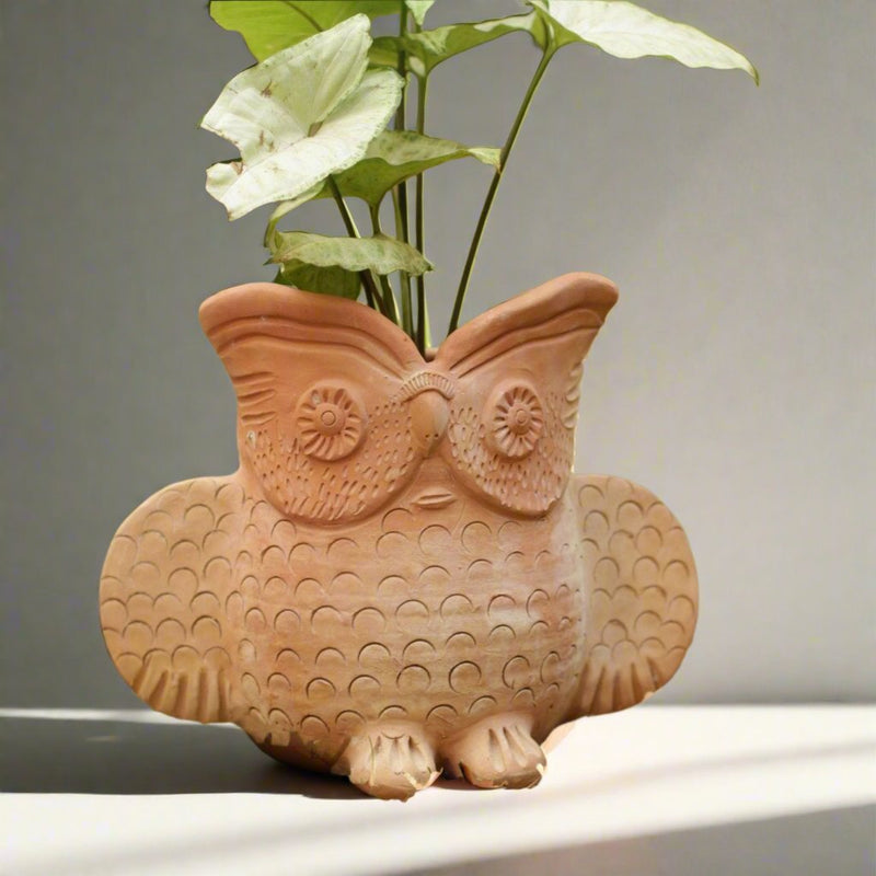 Seacrest Owl Earthern Planter - 9x6 Inches | Verified Sustainable by Brown Living™