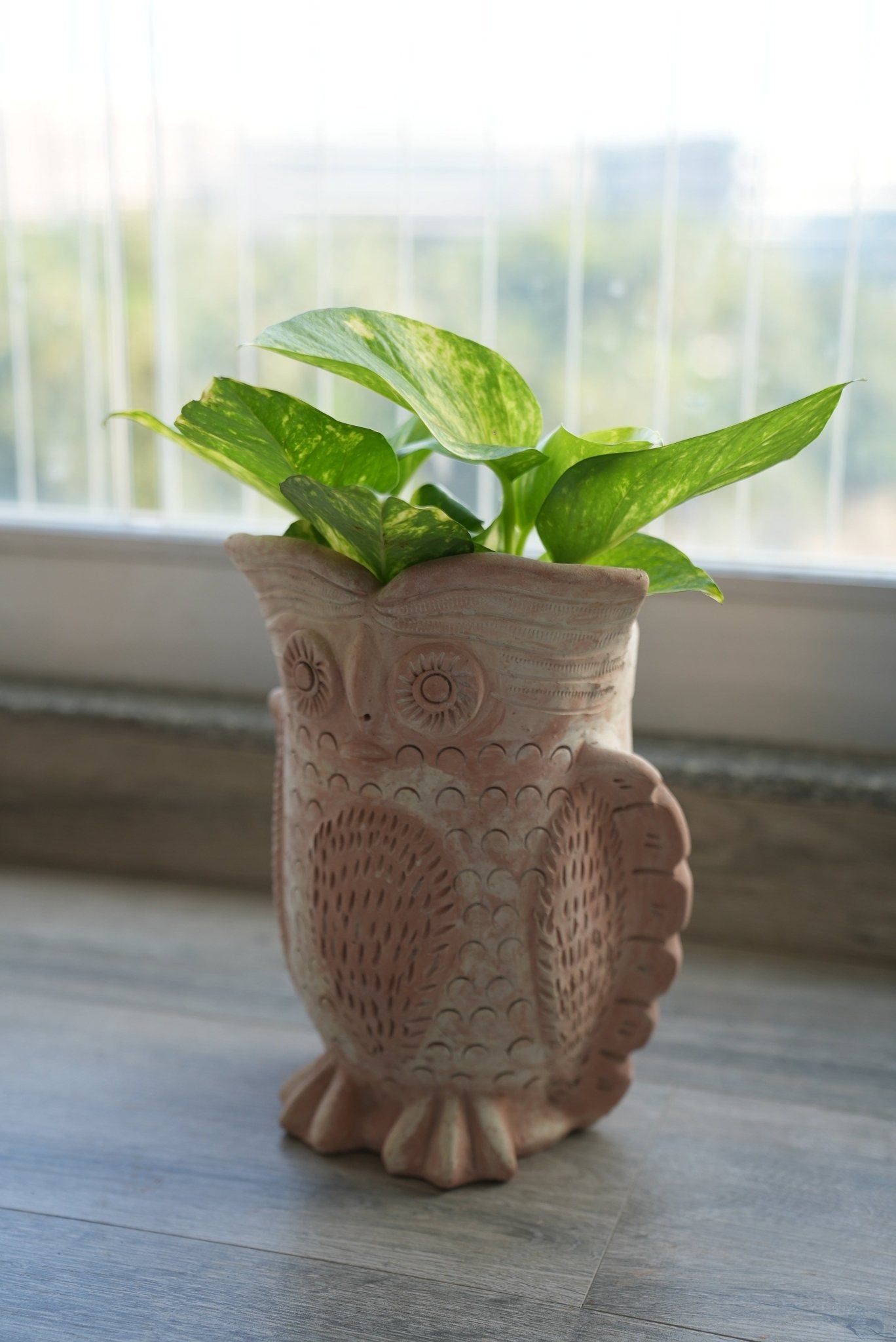 Seacrest Owl Handcrafted Bird Themed Clay Planter – Pots & Planters on Brown Living™. SKU: A0_plt_0041. Img 4.