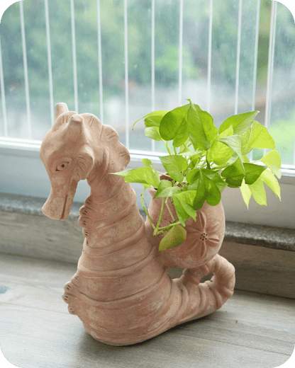 Seashell Seahorse Earthen Planter – Pots & Planters by Swadeh available on Brown Living™. . SKU: A0_plt_0027. Img 2.
