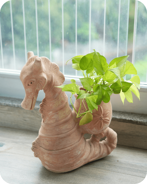 Seashell Seahorse Earthen Planter – Pots & Planters by Swadeh available on Brown Living™. . SKU: A0_plt_0027. Img 2.