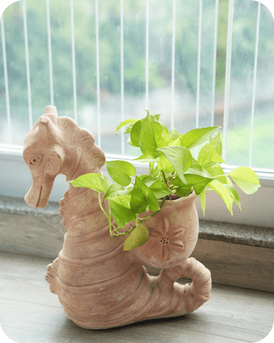 Seashell Seahorse Earthen Planter – Pots & Planters on Brown Living™. SKU: A0_plt_0027. Img 1.