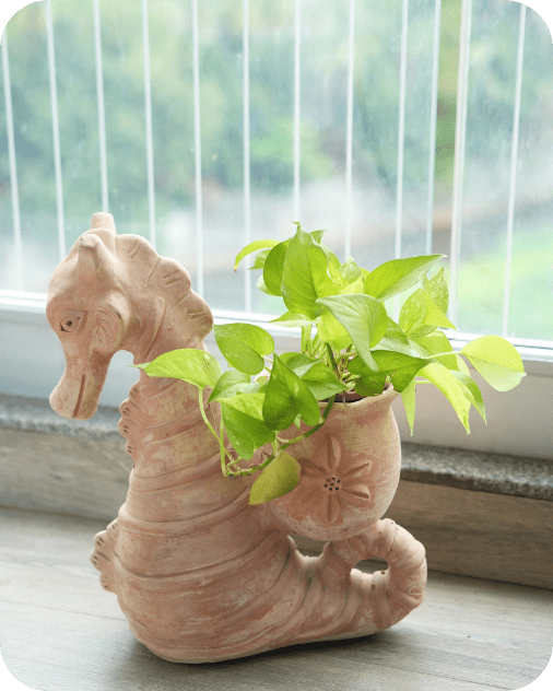 Seashell Seahorse Earthen Planter – Pots & Planters by Swadeh available on Brown Living™. . SKU: A0_plt_0027. Img 1.