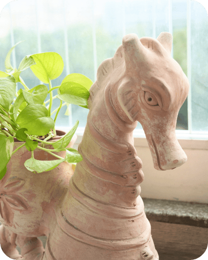 Seashell Seahorse Earthen Planter – Pots & Planters by Swadeh available on Brown Living™. . SKU: A0_plt_0027. Img 3.