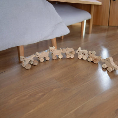 Set Of 10 Beautiful Push & Pull Toys For Toddlers – Toy Trains & Vehicles on Brown Living™. SKU: W_SET10. Img 6.