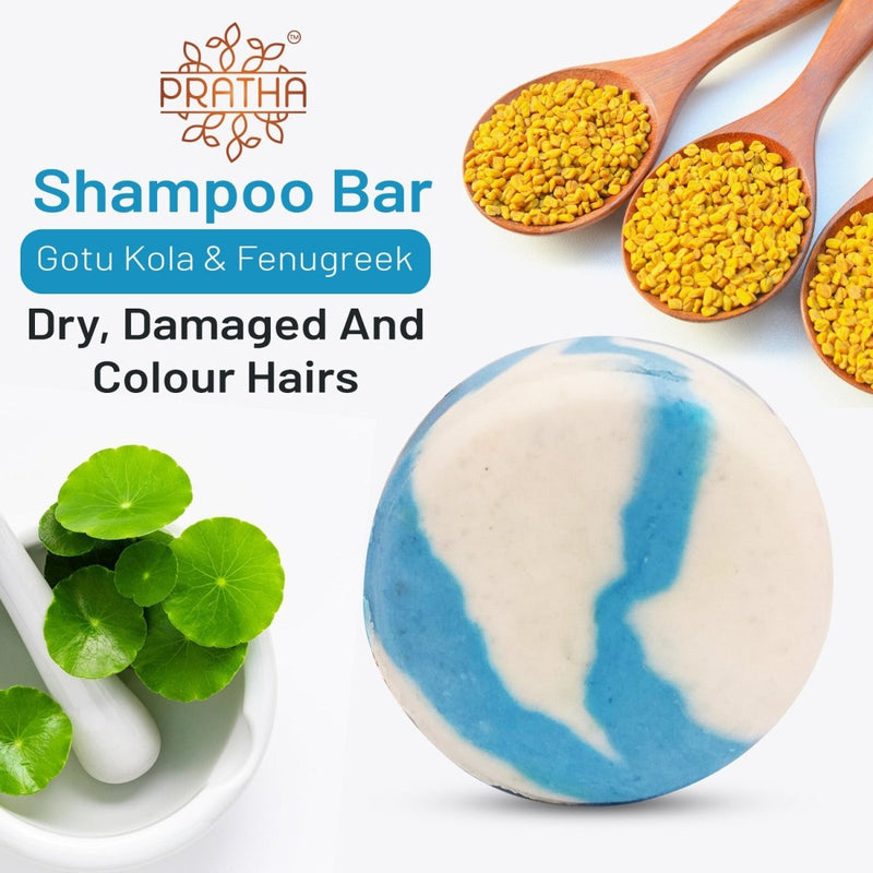 Shampoo Bar | Gotu Kola, Fenugreek | For Dry, Colored & Damaged Hair | Verified Sustainable Hair Shampoo Bar on Brown Living™