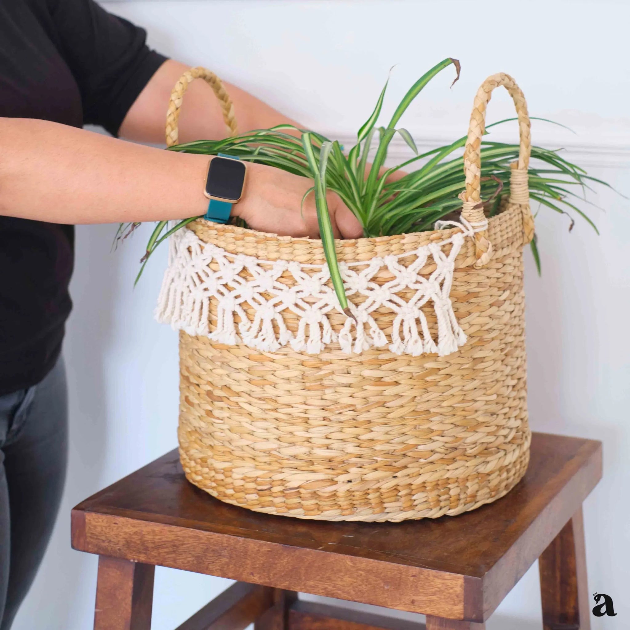 Shvetah Kauna Grass Planter | Handcrafted Eco - Friendly Plant Pot – Pots & Planters on Brown Living™. SKU: 909KP. Img 2.