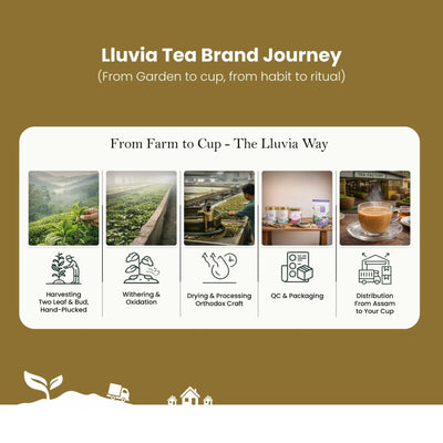 Silver Needle White Tea – Hand-Plucked, Rich in Antioxidants – 50g – Tea on Brown Living™. SKU: WTTin50New. Img 7.